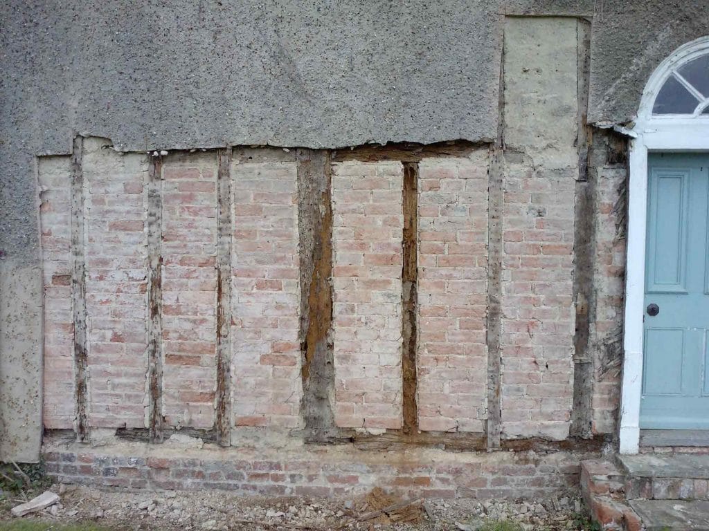 Deathwatch beetle infestation