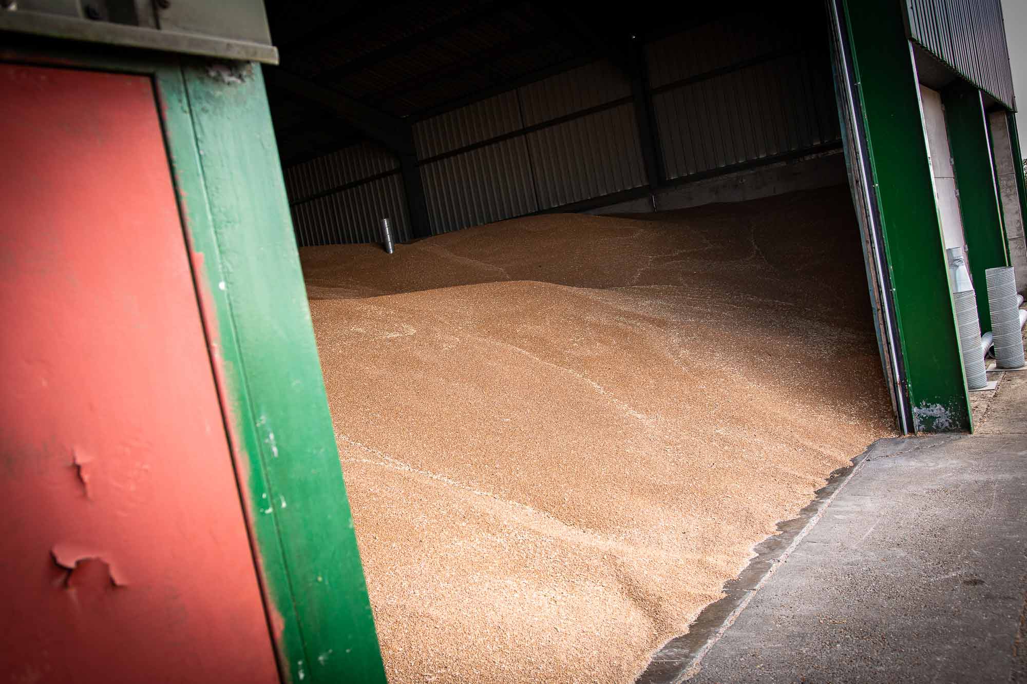 Grain store treatments
