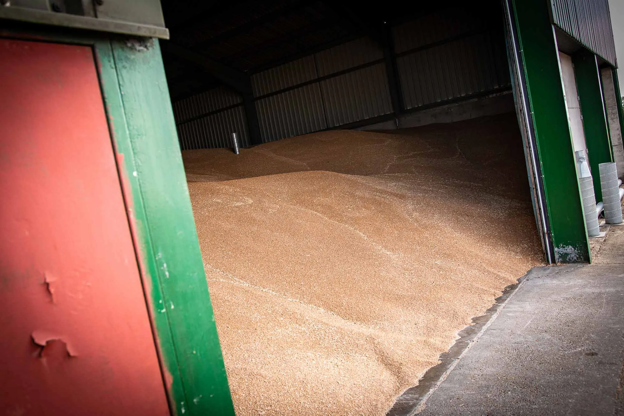 Grain store treatments