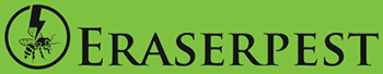 Eraserpest
